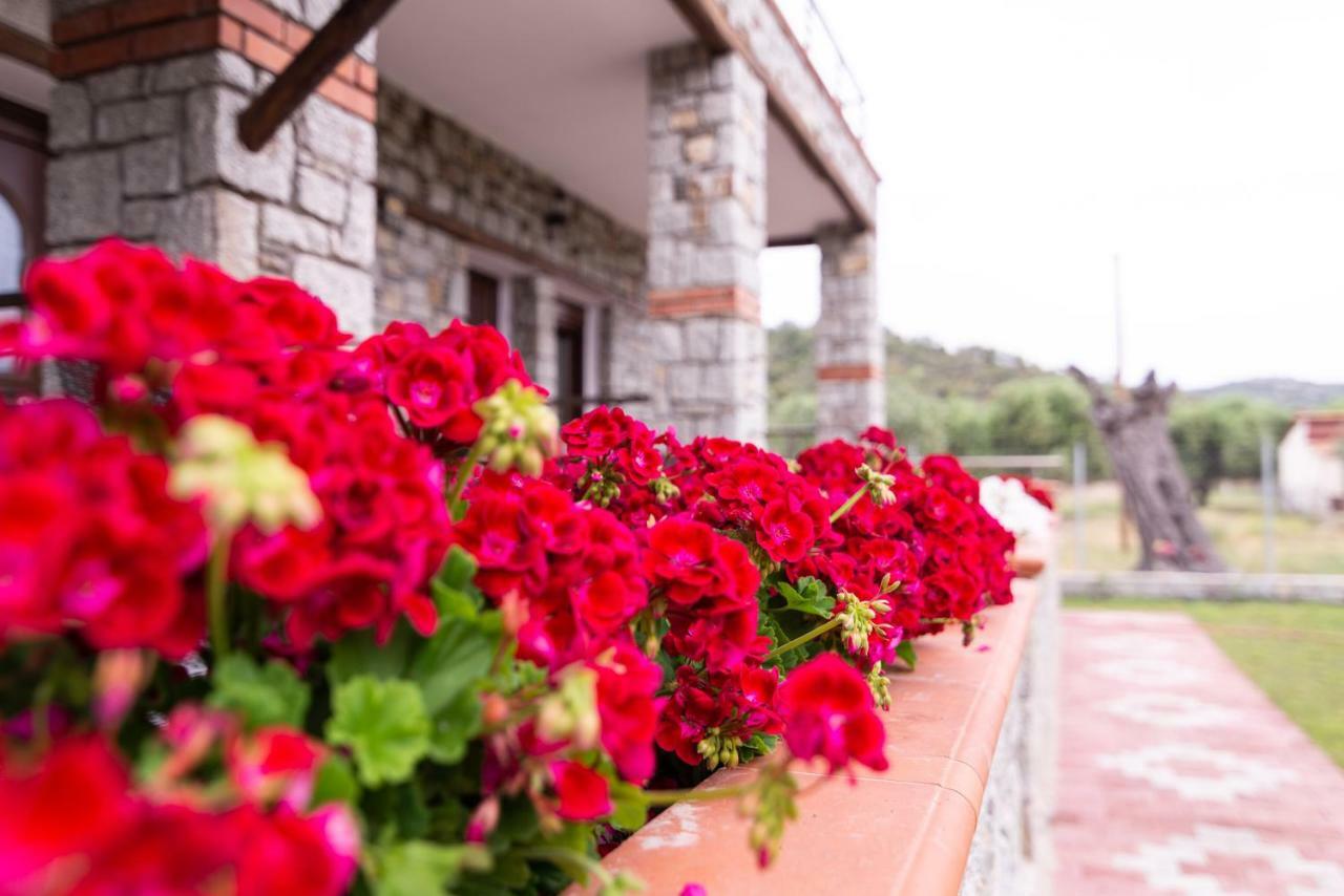 Villa Theano Τορώνη Εξωτερικό φωτογραφία